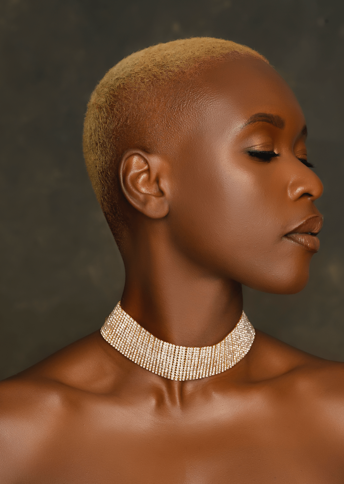 Gorgeous Sparkling Crystal Rhinestones Statement Choker Necklaces - Fatisha Boutique