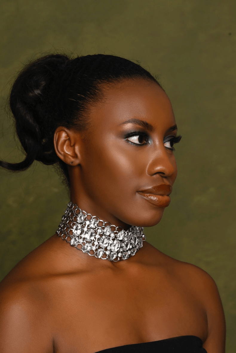 Elegant Sparkling Chunky Rhinestones Choker Necklaces - Fatisha Boutique