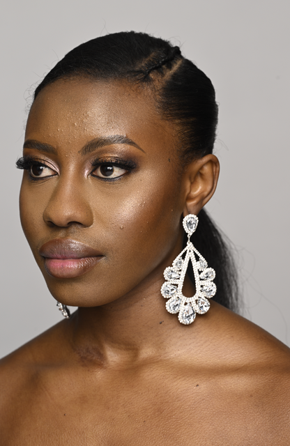 Elegant Gorgeous Crystal Diamante Rhinestonearrings