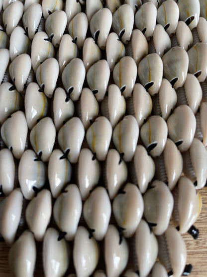 Authentic African Craftsmanship Cowrie Sea Shell Tribal Collar Necklace