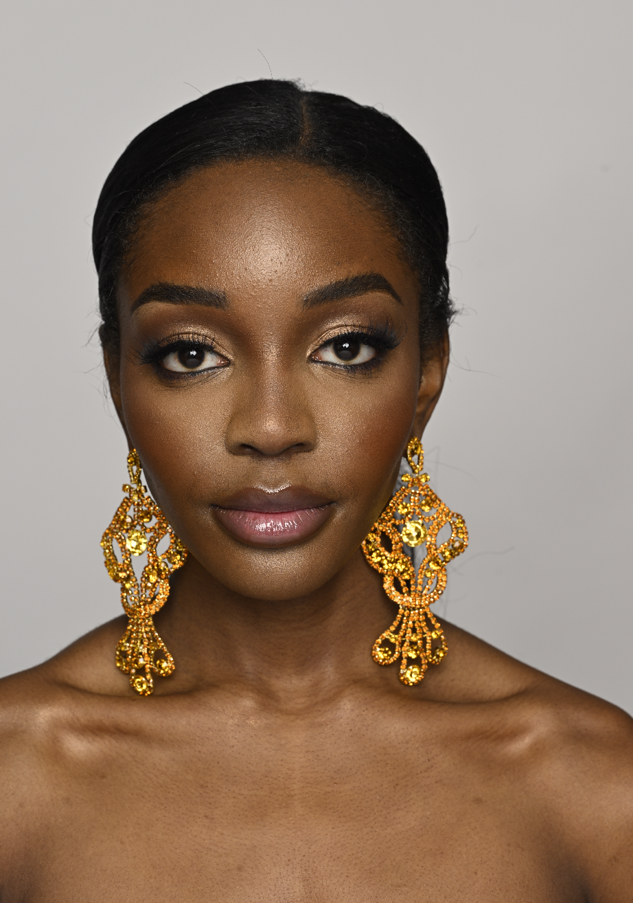Glamorous Long Teardrop Crystal Diamante Rhinestone Tassel Stud Earrings